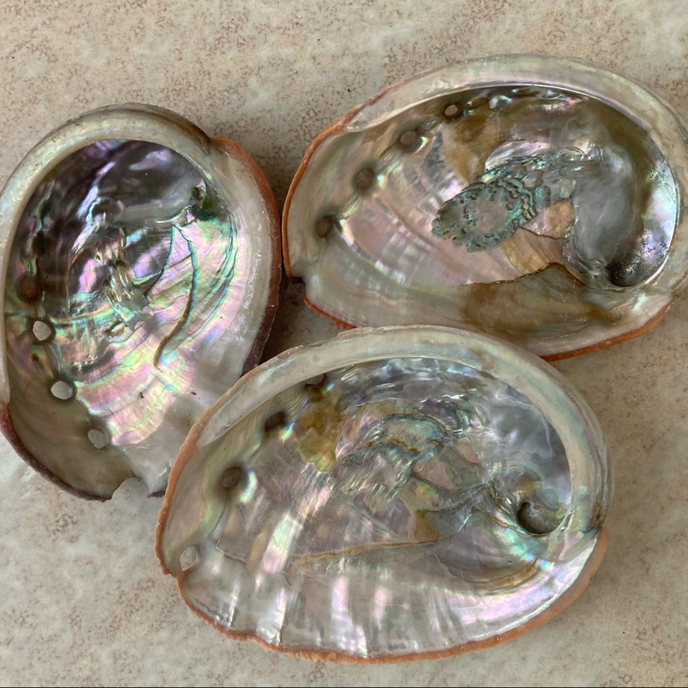 Mother of Pearl Bundle (3)